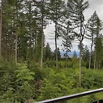 Berggasthof Kuhberg * Stutzengrun
