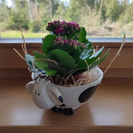 Fogadó Haus Kuhberg *